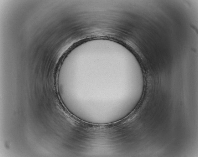 X0000099541023200805160743