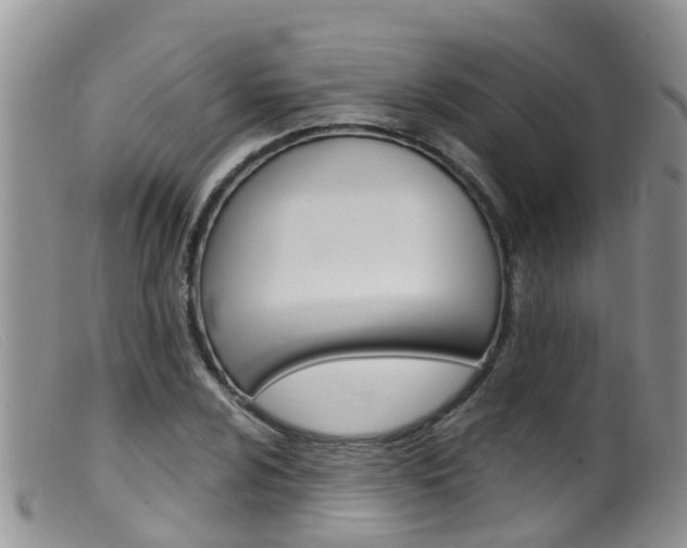 X0000099541024200805160743