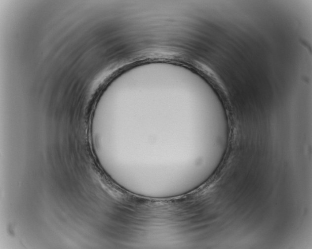 X0000099541027200805160743