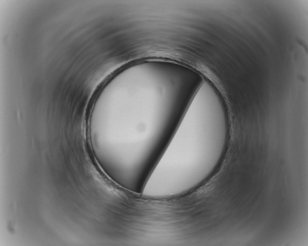 X0000099541028200805160743