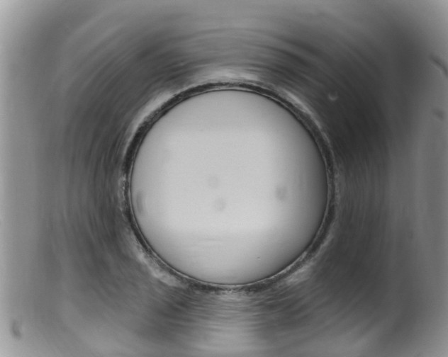 X0000099541029200805160744