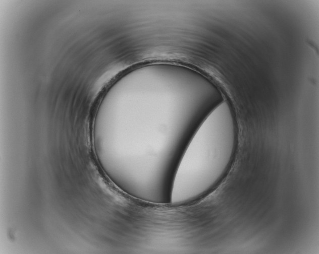 X0000099541030200805160744