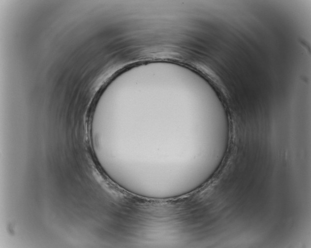 X0000099541031200805160744