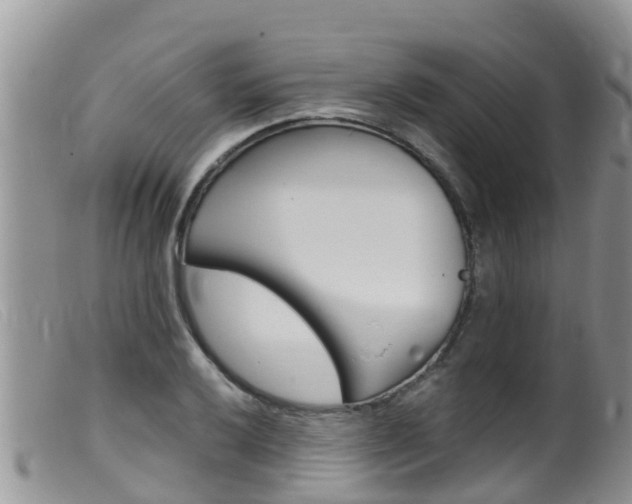 X0000099541032200805160744
