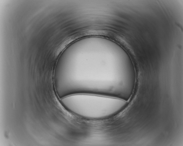 X0000099541033200805160744