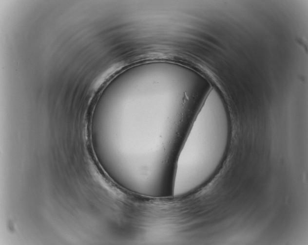 X0000099541034200805160744