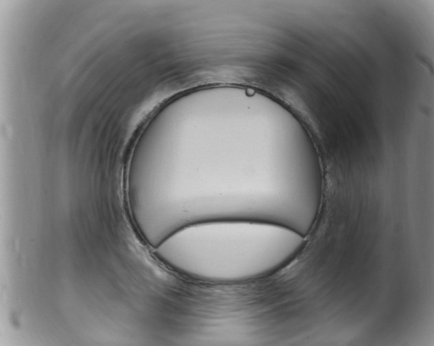 X0000099541035200805160744