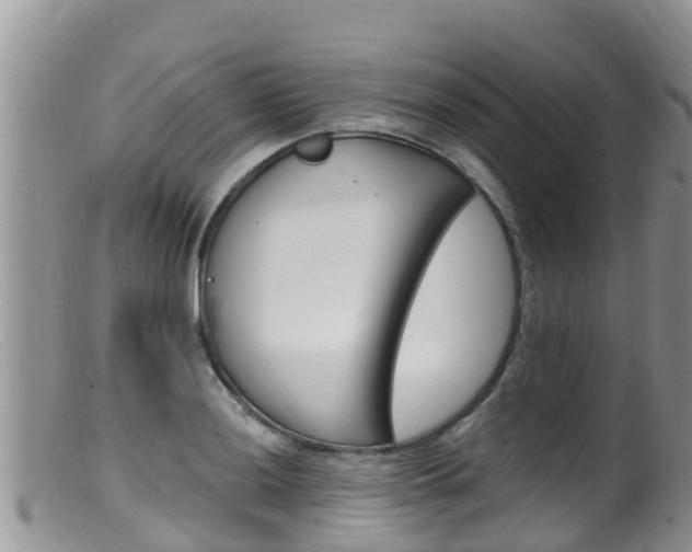 X0000099541036200805160744
