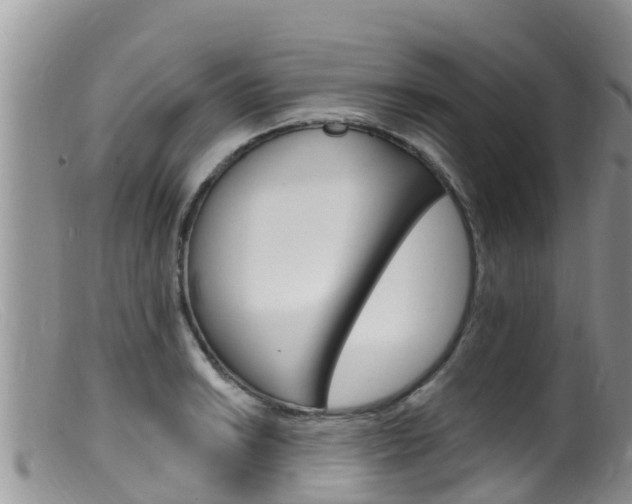 X0000099541038200805160744