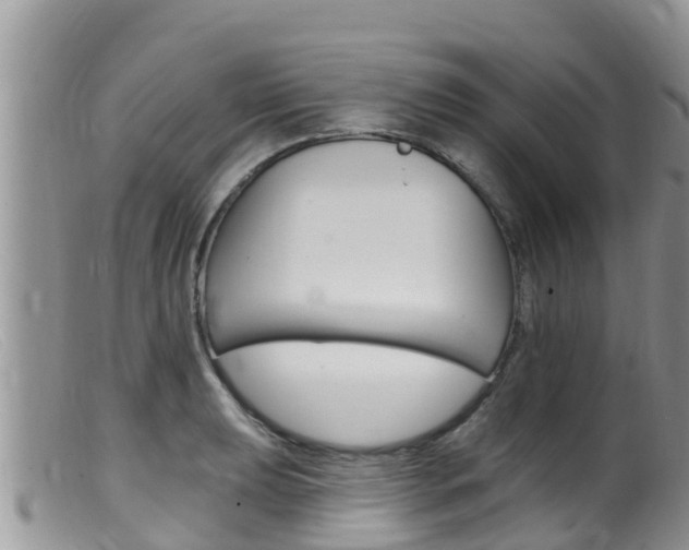 X0000099541039200805160744