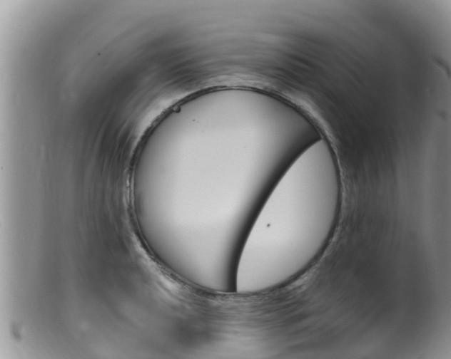 X0000099541040200805160744
