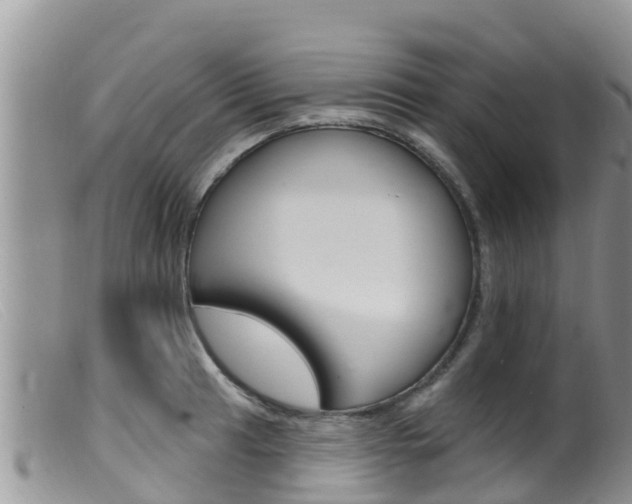 X0000099541041200805160744