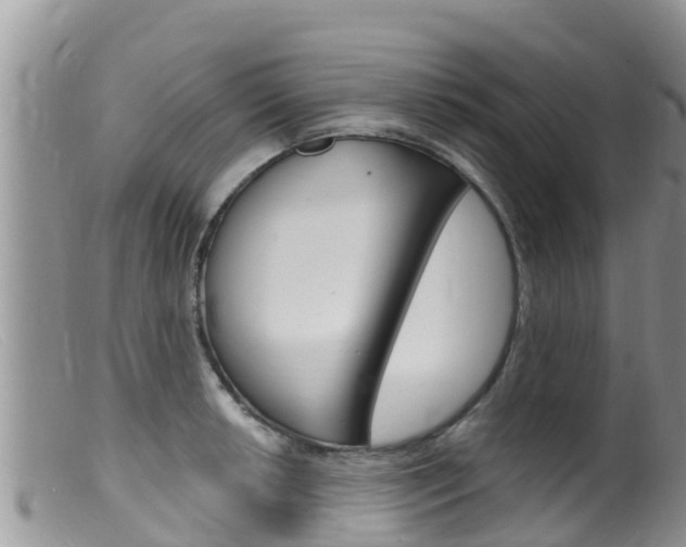 X0000099541042200805160744
