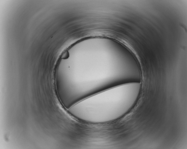 X0000099541045200805160744