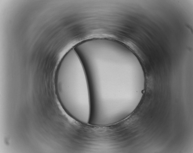 X0000099541046200805160744