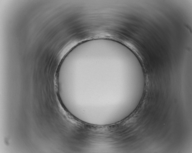 X0000099541047200805160744