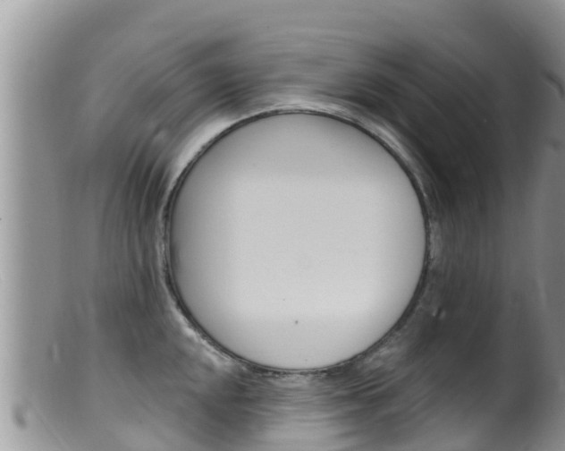 X0000099541048200805160744