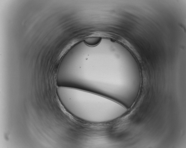 X0000099541049200805160744