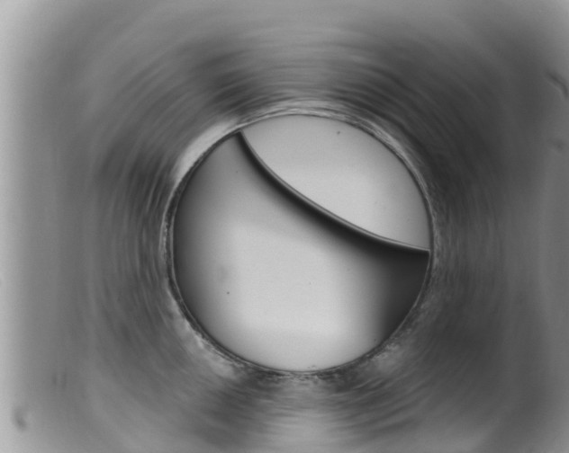 X0000099541050200805160744