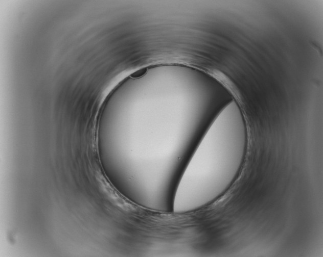 X0000099541052200805160744