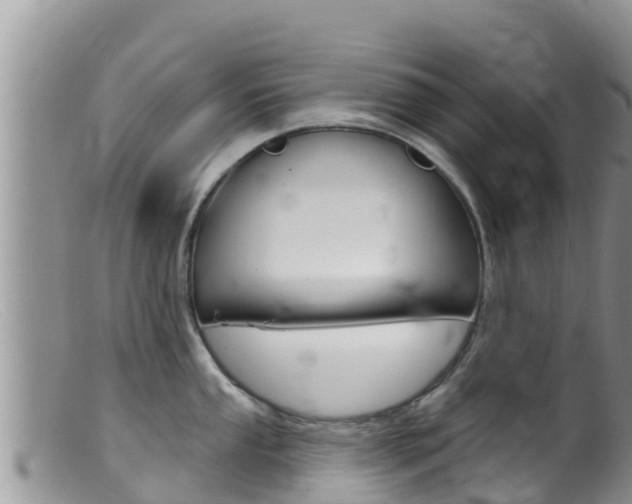 X0000099541053200805160744