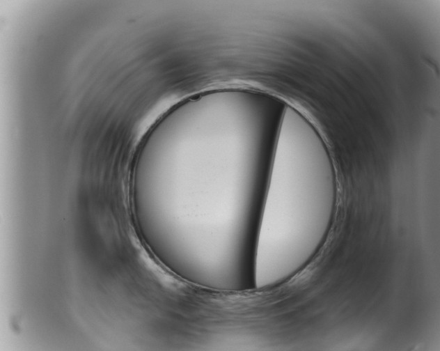 X0000099541054200805160744