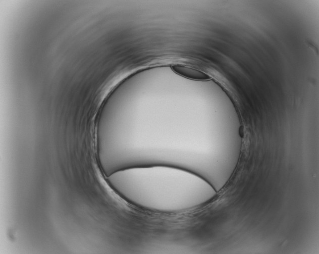 X0000099541055200805160744