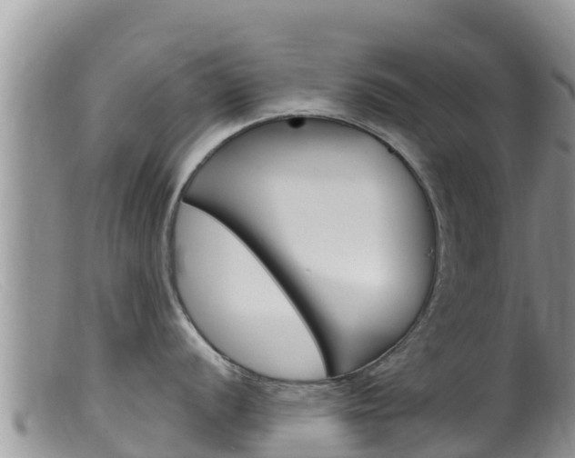 X0000099541056200805160744