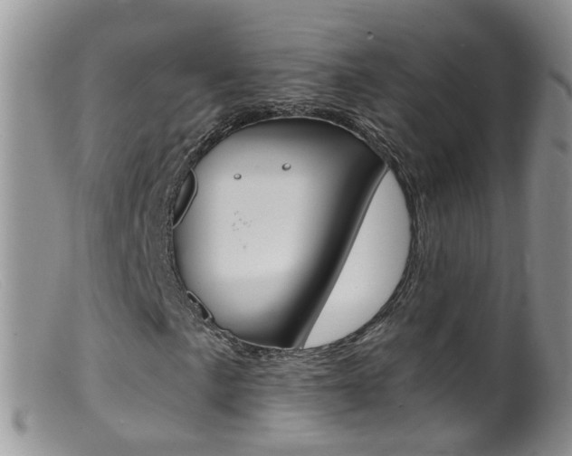 X0000099541057200805160743