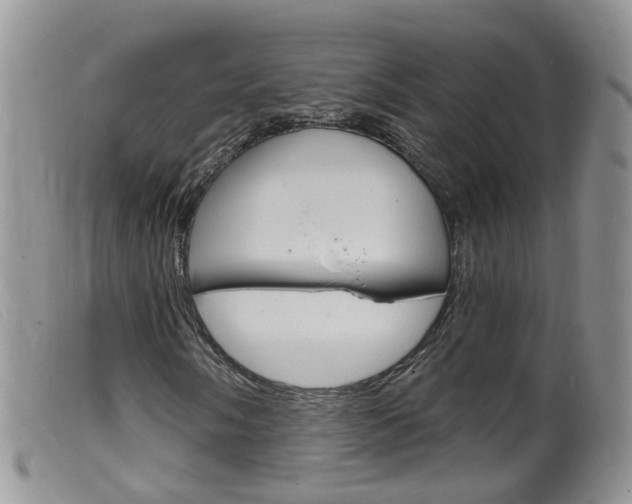 X0000099541058200805160743