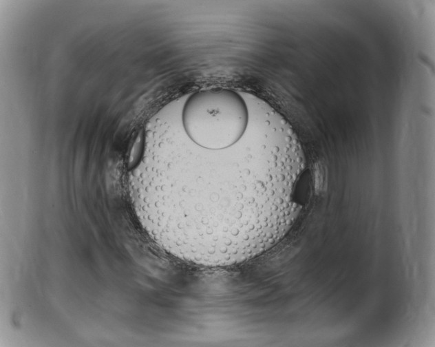 X0000099541059200805160743