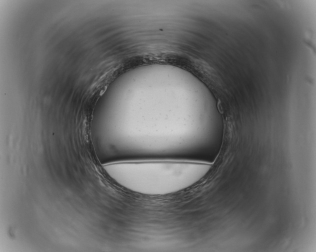 X0000099541060200805160743