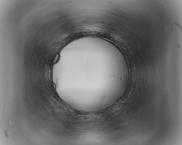 X0000099541061200805160743
