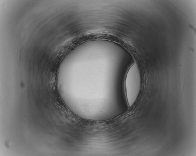 X0000099541062200805160743