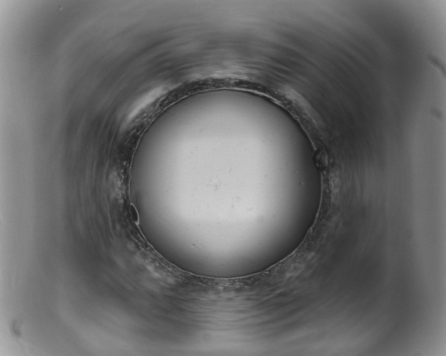 X0000099541064200805160743