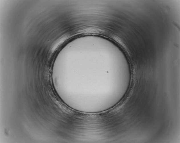 X0000099541067200805160743