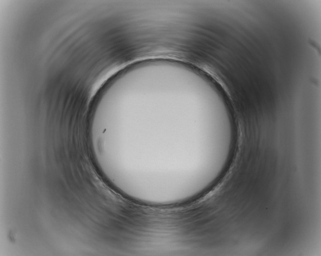 X0000099541069200805160743