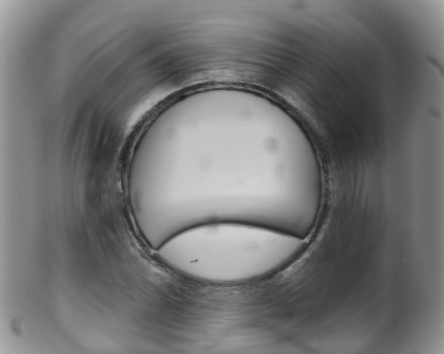 X0000099541070200805160743