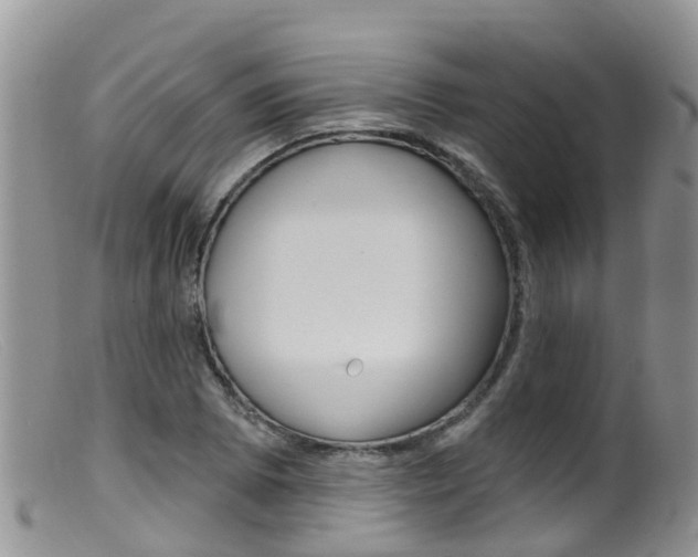 X0000099541073200805160743