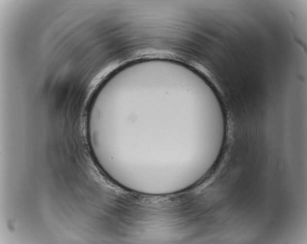 X0000099541074200805160743