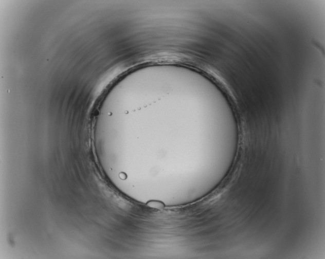 X0000099541075200805160743