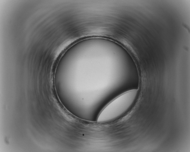 X0000099541077200805160743