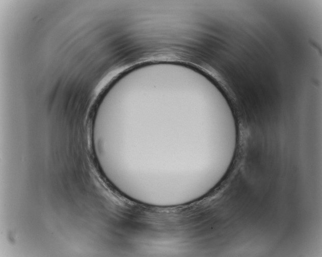 X0000099541078200805160743