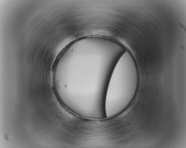 X0000099541079200805160743