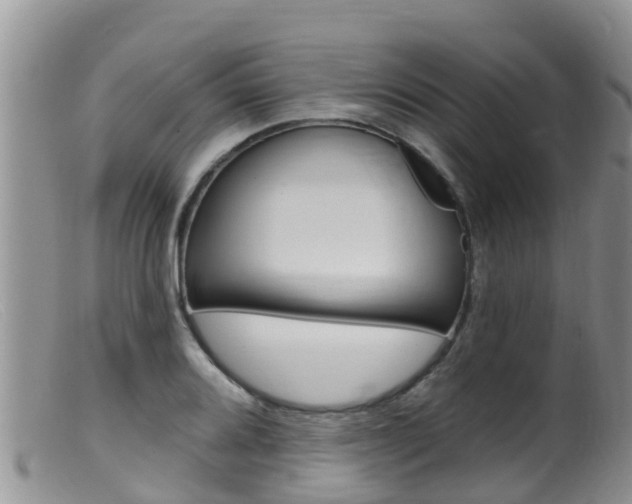 X0000099541080200805160743
