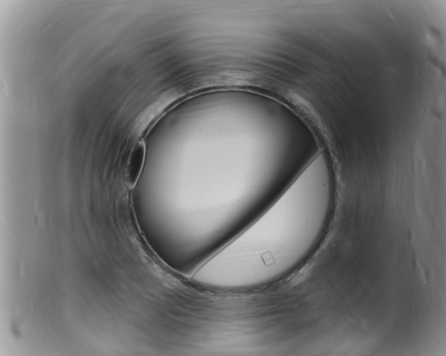 X0000099541081200805160743