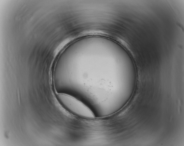 X0000099541082200805160743