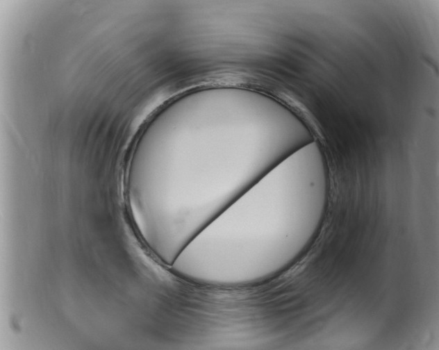 X0000099541083200805160743