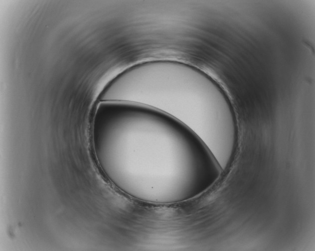 X0000099541085200805160743