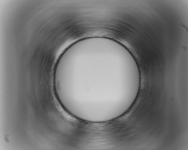 X0000099541086200805160743